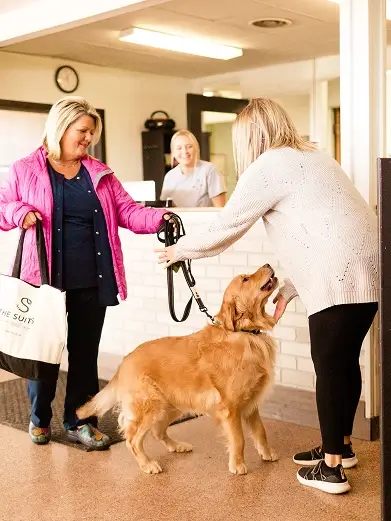 Dog Owner with Leash on Dog